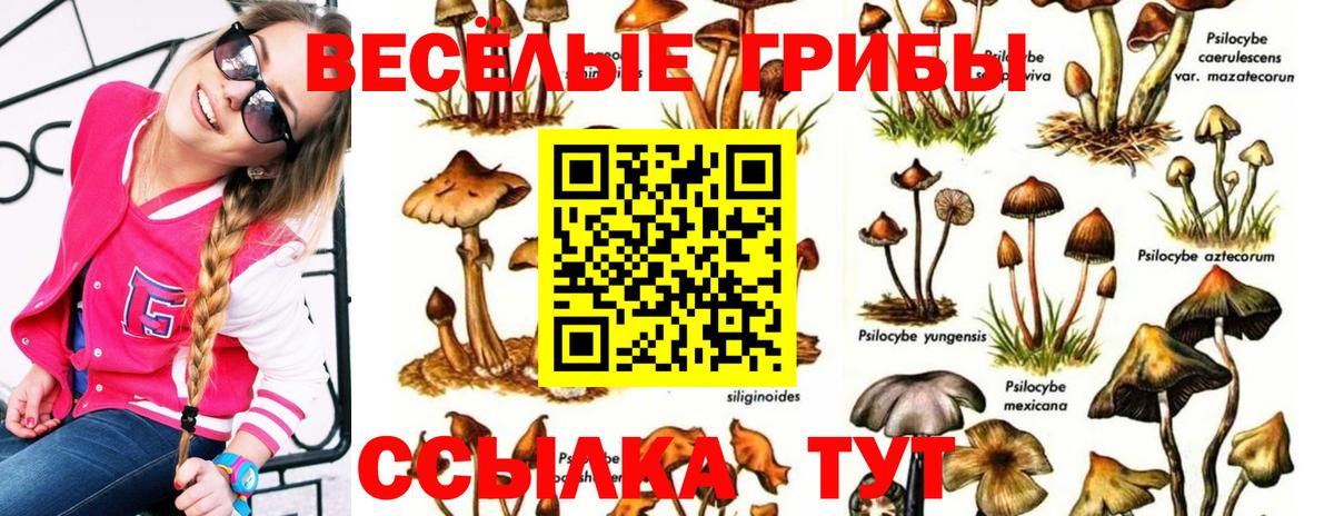Псилоцибиновые грибы ЛСД  Вход с VPN  Оренбург 